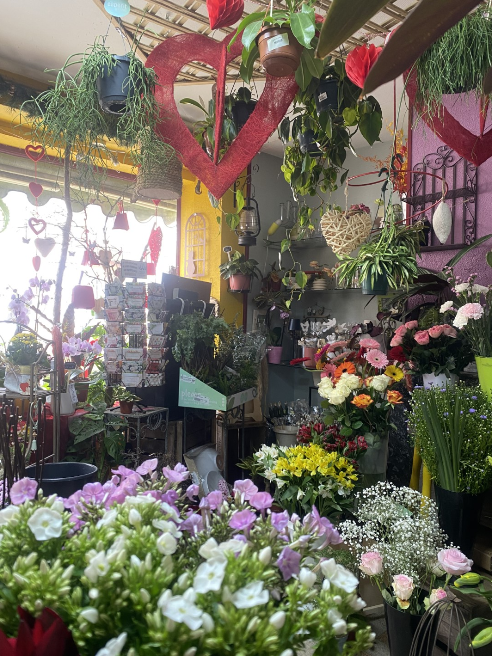 sabiflor-evenement