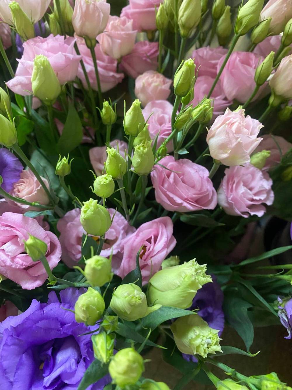 sabiflor-roses